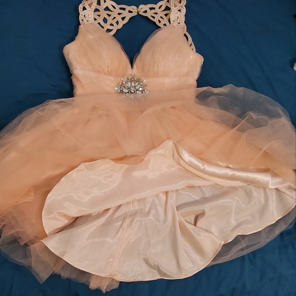 Bee Darlin Peach Junior Dress, Prom, Homecoming Size 9/10 - Picture 3 of 11
